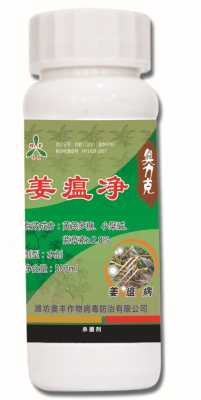 姜地消毒杀菌哪种药好,药姜哪里的最好吃-第2张图片-厨房小当家 姜地消毒杀菌哪种药好,药姜哪里的最好吃-第2张图片-厨房小当家