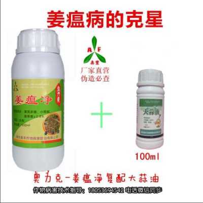 姜地消毒杀菌哪种药好,药姜哪里的最好吃-第3张图片-厨房小当家 姜地消毒杀菌哪种药好,药姜哪里的最好吃-第3张图片-厨房小当家