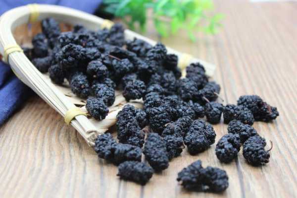 干桑葚哪里的最好(桑葚哪国最好)-第3张图片-厨房小当家 干桑葚哪里的最好(桑葚哪国最好)-第3张图片-厨房小当家