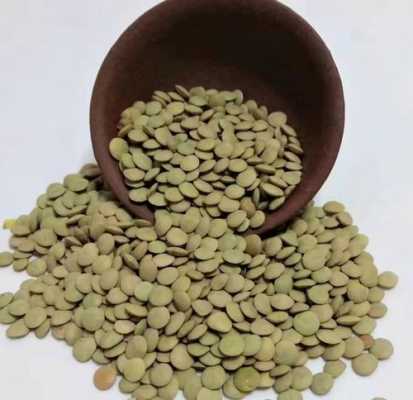 哪里有卖鸡豌豆（桃豆是什么）-第3张图片-厨房小当家
