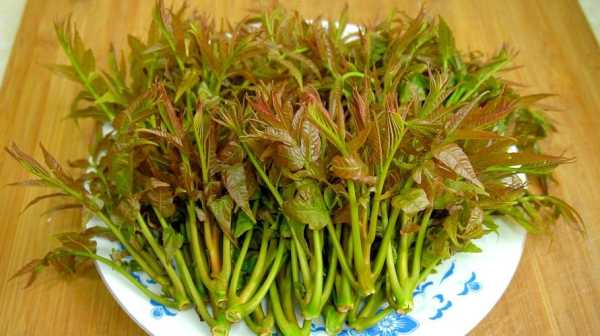 香椿芽哪里的好吃,哪里的椿芽好吃-第1张图片-厨房小当家 香椿芽哪里的好吃,哪里的椿芽好吃-第1张图片-厨房小当家