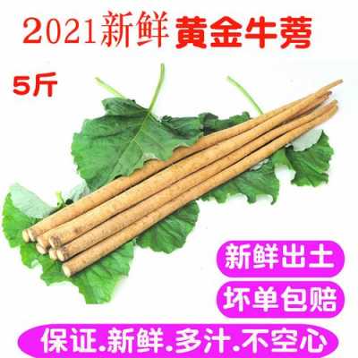 新鲜牛蒡哪里有卖(新鲜牛蒡哪里有卖的)-第1张图片-厨房小当家 新鲜牛蒡哪里有卖(新鲜牛蒡哪里有卖的)-第1张图片-厨房小当家