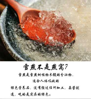哪里买雪燕正宗(哪种雪燕比较好)-第1张图片-厨房小当家 哪里买雪燕正宗(哪种雪燕比较好)-第1张图片-厨房小当家