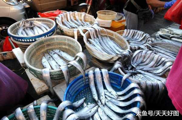 地摊卖海鲜利润怎么样,小海鲜卖的怎么样啊-第3张图片-厨房小当家 地摊卖海鲜利润怎么样,小海鲜卖的怎么样啊-第3张图片-厨房小当家