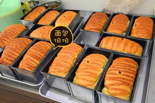 卖手撕面包生意怎么样(为什么选择手撕面包)-第2张图片-厨房小当家 卖手撕面包生意怎么样(为什么选择手撕面包)-第2张图片-厨房小当家
