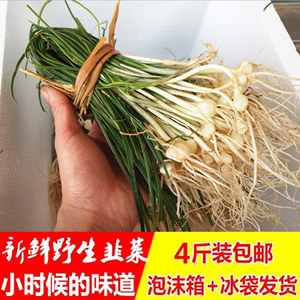 一年四季有野葱卖吗,哪里有野韭菜卖啊-第3张图片-厨房小当家 一年四季有野葱卖吗,哪里有野韭菜卖啊-第3张图片-厨房小当家