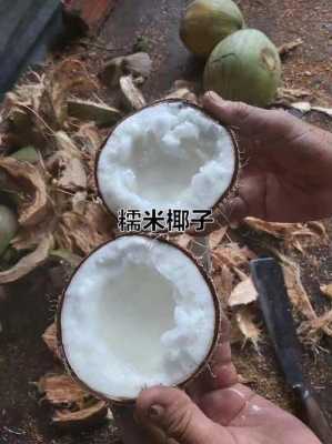 糯米椰怎么来的,糯米椰哪里有卖的啊-第3张图片-厨房小当家 糯米椰怎么来的,糯米椰哪里有卖的啊-第3张图片-厨房小当家