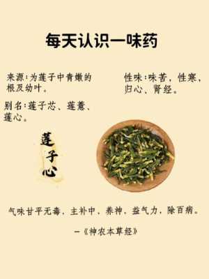 莲薏在莲哪里(莲薏在莲哪里)-第2张图片-厨房小当家 莲薏在莲哪里(莲薏在莲哪里)-第2张图片-厨房小当家