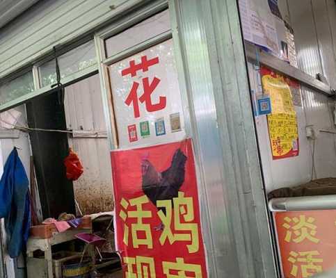 开个活鸡店利润怎么样(开个活鸡店利润怎么样啊)-第1张图片-厨房小当家 开个活鸡店利润怎么样(开个活鸡店利润怎么样啊)-第1张图片-厨房小当家