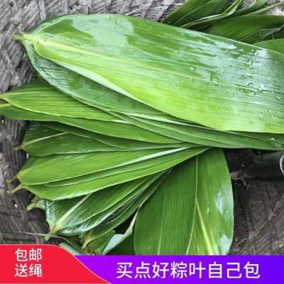 粽叶 哪里的好(洛阳哪有种的粽叶)-第3张图片-厨房小当家 粽叶 哪里的好(洛阳哪有种的粽叶)-第3张图片-厨房小当家