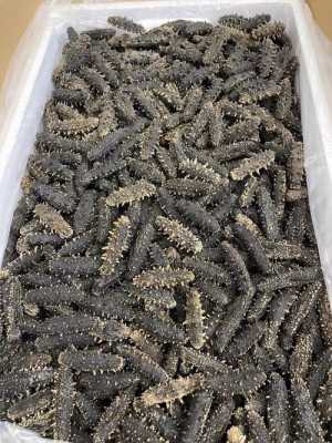 哪里的干海参最好（哪里的干海参最好最正宗）-第1张图片-厨房小当家