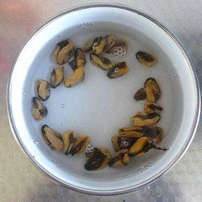 淡菜里面的毛怎么处理清洗小技巧,淡菜的肠胃在哪里图片-第3张图片-厨房小当家 淡菜里面的毛怎么处理清洗小技巧,淡菜的肠胃在哪里图片-第3张图片-厨房小当家
