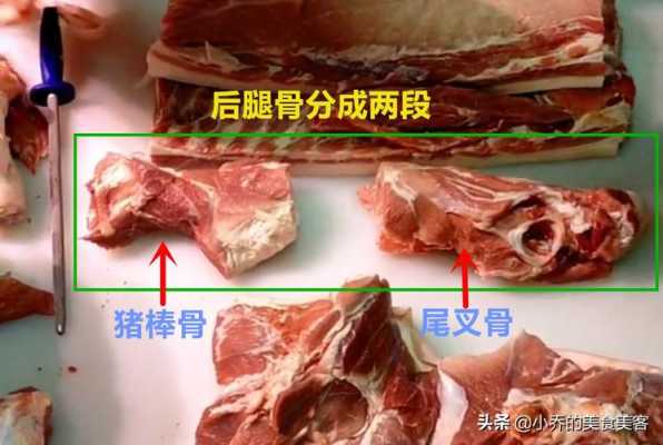大骨头是猪哪个部位,棒骨是哪里的骨头图片-第1张图片-厨房小当家 大骨头是猪哪个部位,棒骨是哪里的骨头图片-第1张图片-厨房小当家