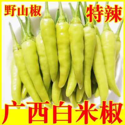 白辣椒哪里有买的(白辣椒哪里有买的啊)-第3张图片-厨房小当家 白辣椒哪里有买的(白辣椒哪里有买的啊)-第3张图片-厨房小当家