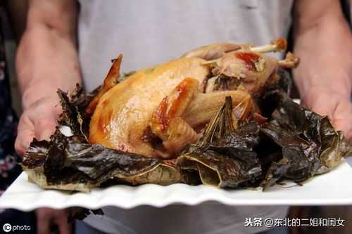 叫花鸡哪里的好(叫花鸡哪里的好吃)-第3张图片-厨房小当家 叫花鸡哪里的好(叫花鸡哪里的好吃)-第3张图片-厨房小当家