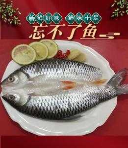 深圳哪里有好吃的鱼(忘不了鱼广东哪里能吃到)-第3张图片-厨房小当家 深圳哪里有好吃的鱼(忘不了鱼广东哪里能吃到)-第3张图片-厨房小当家