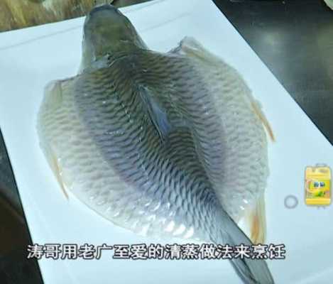 深圳哪里有好吃的鱼(忘不了鱼广东哪里能吃到)-第1张图片-厨房小当家 深圳哪里有好吃的鱼(忘不了鱼广东哪里能吃到)-第1张图片-厨房小当家