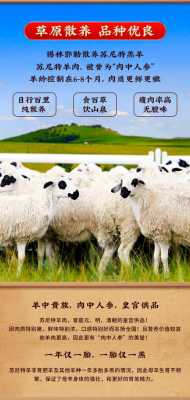 内蒙古哪里羊肉最好(苏尼特哪里的羊肉更好)-第2张图片-厨房小当家 内蒙古哪里羊肉最好(苏尼特哪里的羊肉更好)-第2张图片-厨房小当家