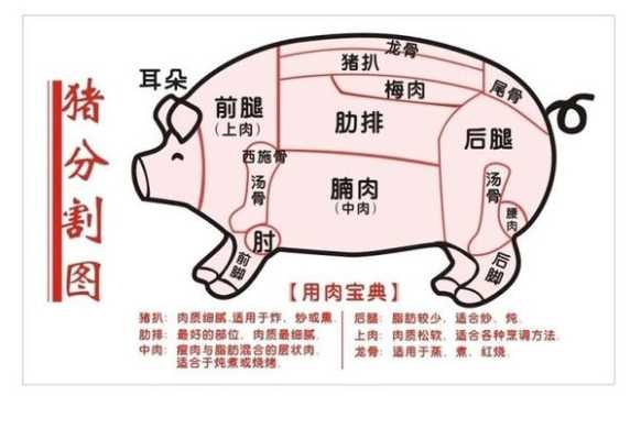 瘦肉哪个部分最嫩,猪身上的肉哪个部位最嫩-第2张图片-厨房小当家 瘦肉哪个部分最嫩,猪身上的肉哪个部位最嫩-第2张图片-厨房小当家