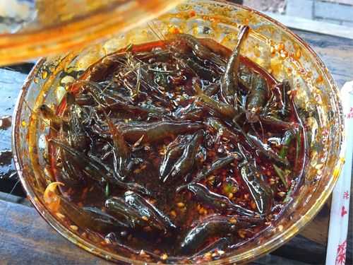 西昌醉虾哪里的好吃(西昌醉虾的做法)-第2张图片-厨房小当家 西昌醉虾哪里的好吃(西昌醉虾的做法)-第2张图片-厨房小当家