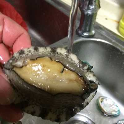 发好的鲍鱼怎么样处理(鲍鱼如何处理)-第3张图片-厨房小当家 发好的鲍鱼怎么样处理(鲍鱼如何处理)-第3张图片-厨房小当家