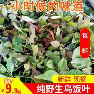 哪里有乌饭草摘(哪里有乌饭草摘的)-第2张图片-厨房小当家 哪里有乌饭草摘(哪里有乌饭草摘的)-第2张图片-厨房小当家