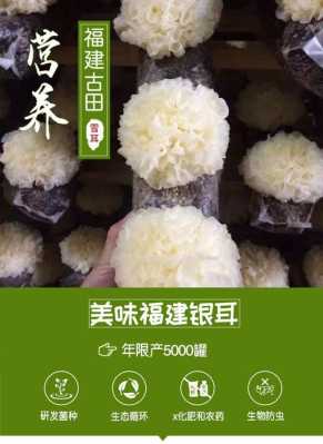 银耳产地哪最好,雪耳是哪里产的好-第2张图片-厨房小当家 银耳产地哪最好,雪耳是哪里产的好-第2张图片-厨房小当家
