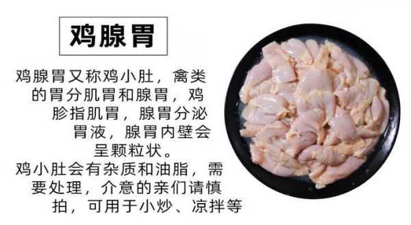 鸡小肚是鸡的哪里(鸡小肚是哪个部位)-第1张图片-厨房小当家 鸡小肚是鸡的哪里(鸡小肚是哪个部位)-第1张图片-厨房小当家
