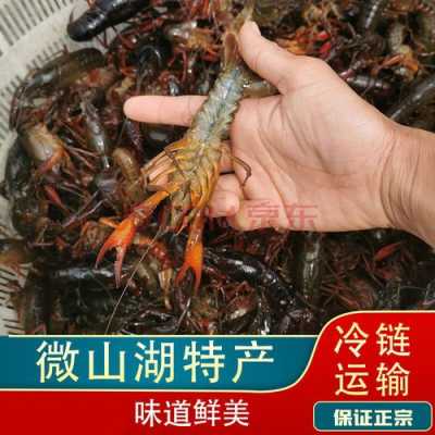 中国哪里产小龙虾(产小龙虾的湖)-第3张图片-厨房小当家 中国哪里产小龙虾(产小龙虾的湖)-第3张图片-厨房小当家