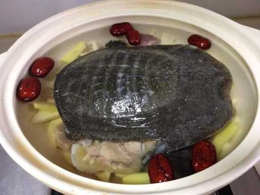 哪里有卖甲鱼汤的(滋补甲鱼汤做法)-第2张图片-厨房小当家 哪里有卖甲鱼汤的(滋补甲鱼汤做法)-第2张图片-厨房小当家