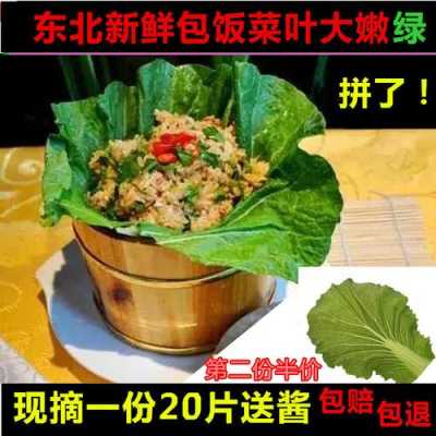 东北大饭包的菜叶子哪里卖,饭包的白菜哪里卖的-第1张图片-厨房小当家 东北大饭包的菜叶子哪里卖,饭包的白菜哪里卖的-第1张图片-厨房小当家