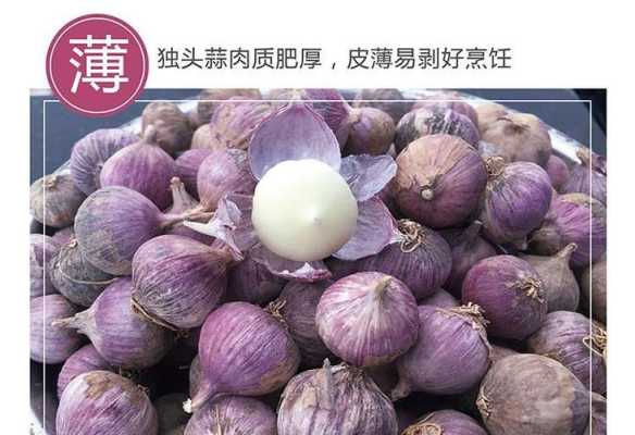 紫皮大蒜哪里的最好,紫皮独蒜哪里的好吃啊-第1张图片-厨房小当家 紫皮大蒜哪里的最好,紫皮独蒜哪里的好吃啊-第1张图片-厨房小当家