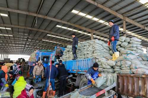 海鲜店上班怎么样(超市跟车送货装卸工累不累)-第3张图片-厨房小当家 海鲜店上班怎么样(超市跟车送货装卸工累不累)-第3张图片-厨房小当家