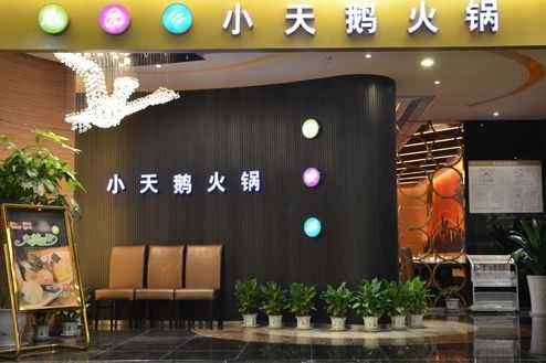 小天鹅自助火锅怎么样(小天鹅自助火锅怎么样啊)-第1张图片-厨房小当家 小天鹅自助火锅怎么样(小天鹅自助火锅怎么样啊)-第1张图片-厨房小当家
