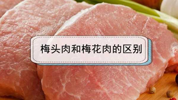 梅头肉是哪里的肉(梅头肉是哪里的肉啊)-第2张图片-厨房小当家 梅头肉是哪里的肉(梅头肉是哪里的肉啊)-第2张图片-厨房小当家