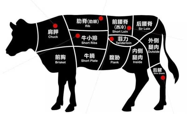 牛排是牛身上什么部位的肉啊,牛排肉是牛的哪里肉啊-第3张图片-厨房小当家 牛排是牛身上什么部位的肉啊,牛排肉是牛的哪里肉啊-第3张图片-厨房小当家