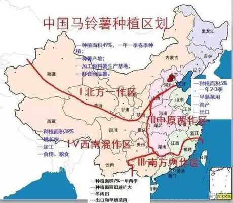 2021年马铃薯分布范围,马铃薯吃的是哪里-第1张图片-厨房小当家 2021年马铃薯分布范围,马铃薯吃的是哪里-第1张图片-厨房小当家