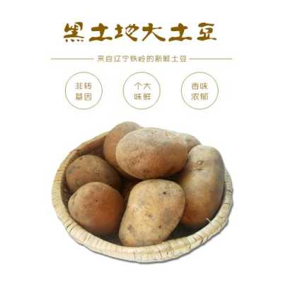 东北哪里产土豆(东北哪里产土豆最多)-第2张图片-厨房小当家 东北哪里产土豆(东北哪里产土豆最多)-第2张图片-厨房小当家