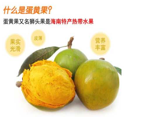 鸡蛋果哪里特产(鸡蛋果哪里特产最好吃)-第1张图片-厨房小当家 鸡蛋果哪里特产(鸡蛋果哪里特产最好吃)-第1张图片-厨房小当家
