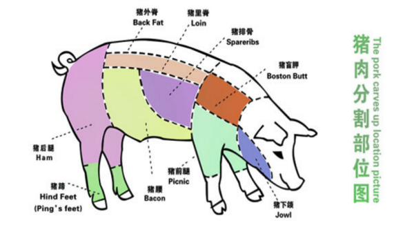 边排是猪哪个部位,边排骨是哪里图解-第3张图片-厨房小当家 边排是猪哪个部位,边排骨是哪里图解-第3张图片-厨房小当家