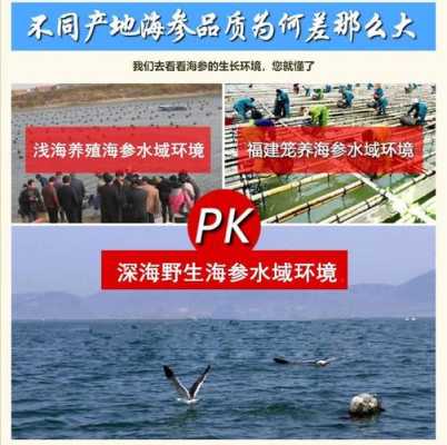 海参产地哪里好(海参产地哪里好?产地大揭秘)-第1张图片-厨房小当家 海参产地哪里好(海参产地哪里好?产地大揭秘)-第1张图片-厨房小当家