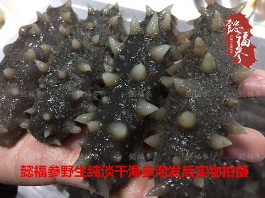 海参产地哪里好(海参产地哪里好?产地大揭秘)-第2张图片-厨房小当家 海参产地哪里好(海参产地哪里好?产地大揭秘)-第2张图片-厨房小当家