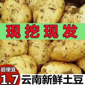 云南哪里土豆最好(云南哪里土豆最好吃)-第2张图片-厨房小当家 云南哪里土豆最好(云南哪里土豆最好吃)-第2张图片-厨房小当家