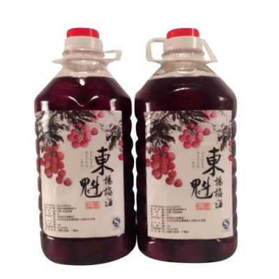杨梅酒是哪里的特产,杨梅酒哪里特产最出名-第1张图片-厨房小当家