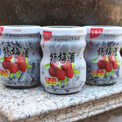 杨梅酒是哪里的特产,杨梅酒哪里特产最出名-第2张图片-厨房小当家