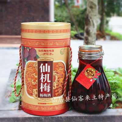 杨梅酒是哪里的特产,杨梅酒哪里特产最出名-第3张图片-厨房小当家