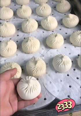 蒸包子去哪里学(蒸包子去哪里学最好吃)-第3张图片-厨房小当家 蒸包子去哪里学(蒸包子去哪里学最好吃)-第3张图片-厨房小当家