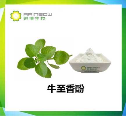 牛至香酚是什么,牛至叶怎么食用-第1张图片-厨房小当家 牛至香酚是什么,牛至叶怎么食用-第1张图片-厨房小当家