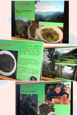 幸茶(上海分部)怎么样(贡山十大特产)-第1张图片-厨房小当家 幸茶(上海分部)怎么样(贡山十大特产)-第1张图片-厨房小当家