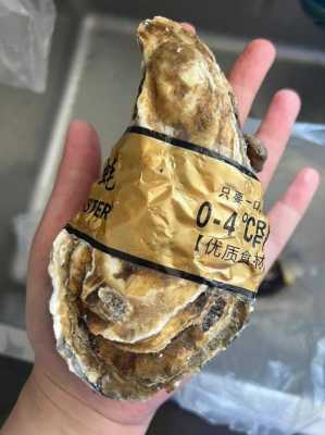 广州哪里有生蚝吃(官渡生蚝和乳山生蚝区别)-第2张图片-厨房小当家 广州哪里有生蚝吃(官渡生蚝和乳山生蚝区别)-第2张图片-厨房小当家